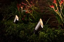 Hunter FX Luminaire NP LED Up Light 9W RBG-W Black