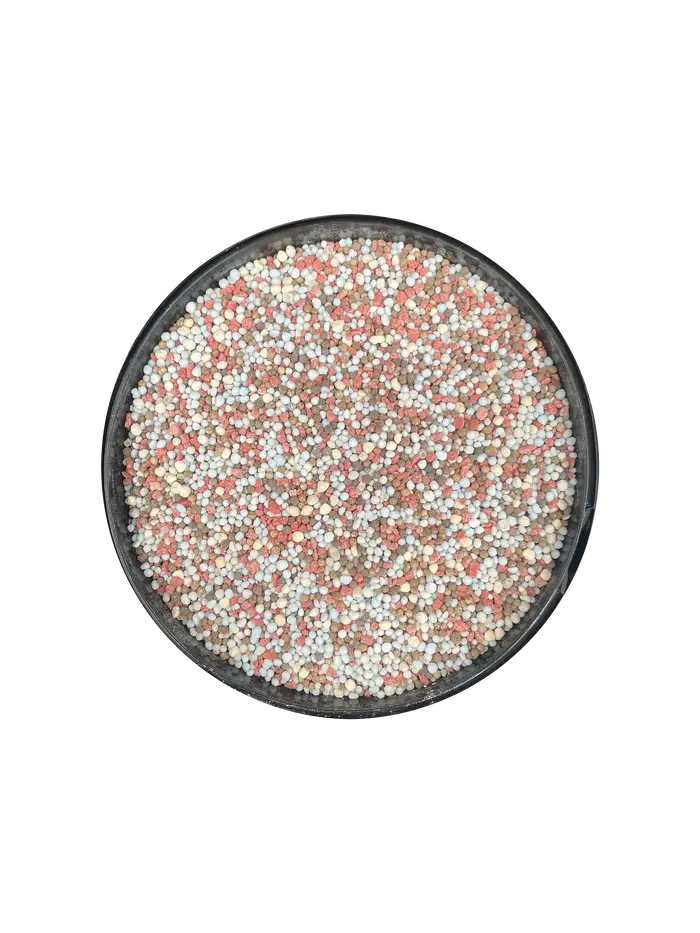 PREMATURE_GRANULES_20251_700x.webp