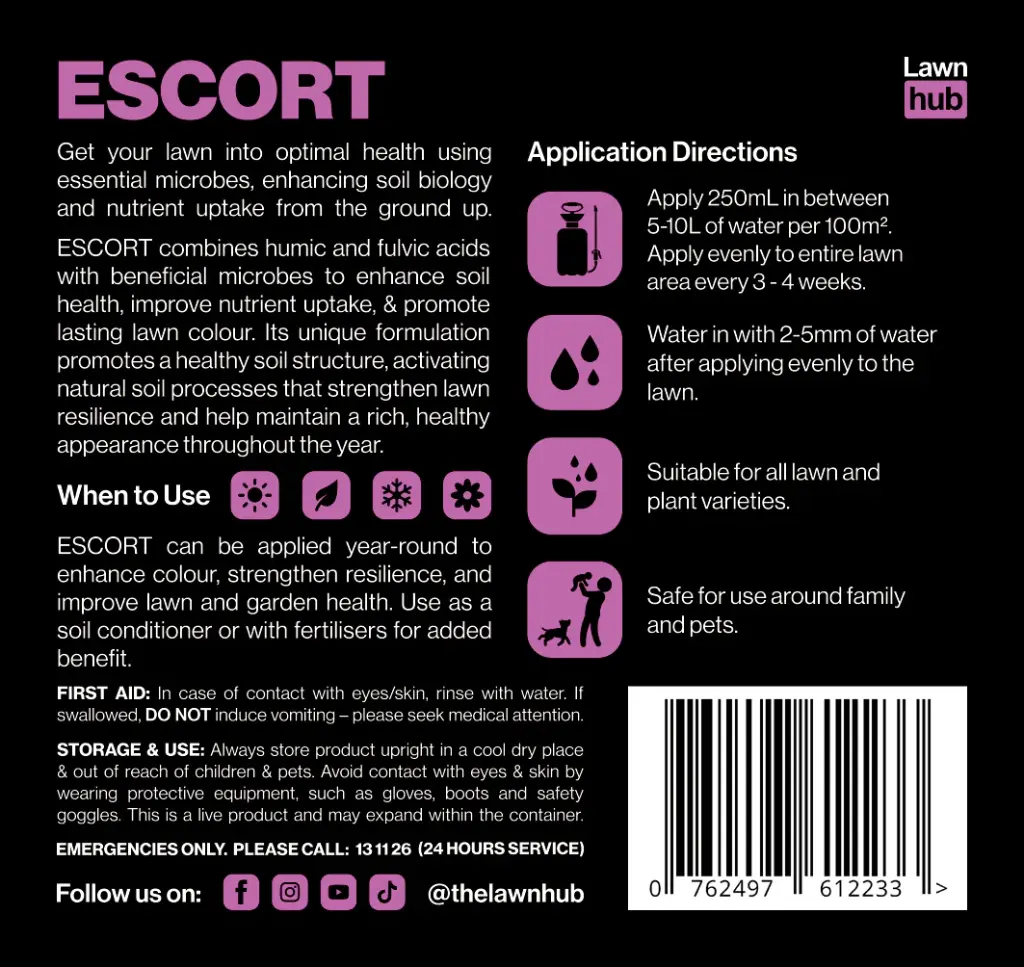 ESCORT_BACK.webp