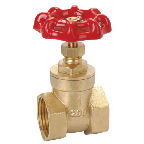 Gate Valve Brass 25mm