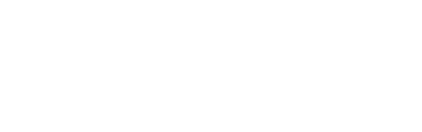 AutoCAD Professional